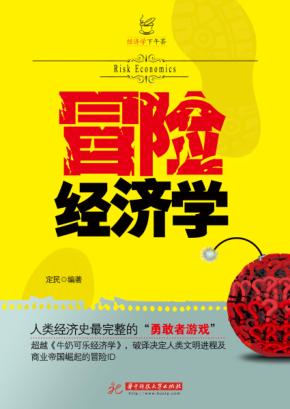 冒险经济学 封面