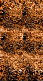 雪樵经解  卷6-11 封面