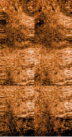 雪樵经解  卷12-14 封面