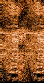 雪樵经解  卷15-18 封面