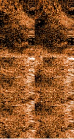 雪樵经解  卷19-24 封面