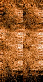 雪樵经解  卷25-27 封面