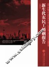 新生代农民工婚姻报告 封面