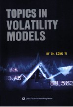 论波动率模型  英文 封面