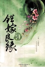 错嫁良缘之洗冤录 封面