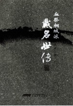 血祭桐城派  戴名世传 封面