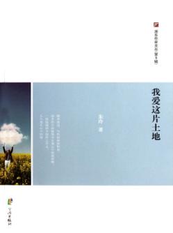 浙东作家文丛  我爱这片土地 封面