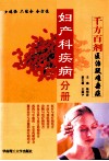 千方百剂医治疑难杂症  妇产科疾病分册 封面