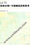 何种文明？中国崛起的再思考 封面