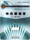 神经解剖学