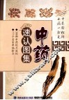 中药速认图集 封面