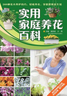 实用家庭养花百科 封面