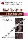 精品化石图册  普通古生物学实习教材 封面