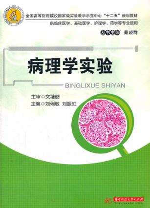 病理学实验 封面