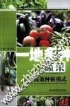 一地多种蔬菜高效种植模式 封面