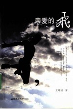 亲爰的，飞 封面