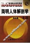 简明人体解剖学 封面