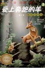 倔小孩  爱上奔跑的羊  2  星辰守护者 封面