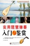 实用琵琶弹奏入门与鉴赏 封面