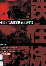 铁在烧  中国人民志愿军铁原大战实录 封面