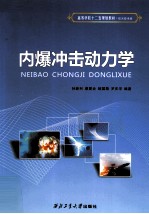 内爆冲击动力学 封面