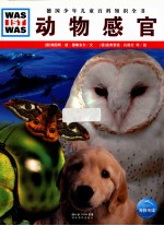 动物感官 封面