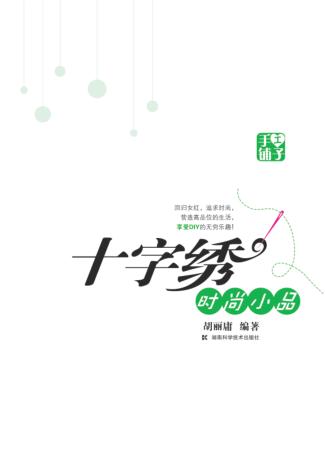 十字绣时尚小品 封面
