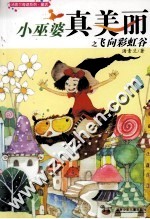 小巫婆真美丽之飞向彩虹谷 封面