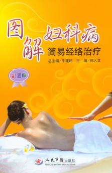 图解妇科病简易经络治疗 封面