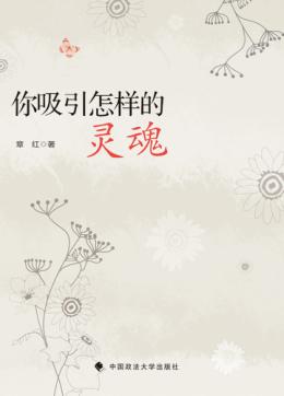 你吸引怎样的灵魂 封面