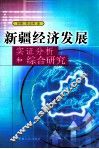 新疆经济发展实证分析和综合研究 封面