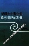 新疆大中型企业良性循环的对策 封面