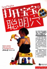 打开宝宝的聪明穴  经典珍藏版 封面