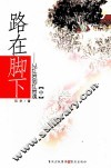 路在脚下  从红岩到红岩魂  中 封面