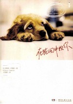 在轮回中找你 封面