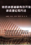 特低渗透油藏有效开发渗流理论和方法 封面