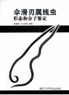伞滑刃属线虫形态和分子鉴定 封面