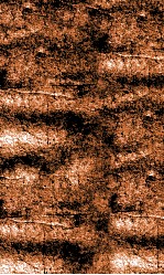 闺媛典  卷189-195 封面