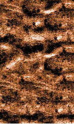 闺媛典  卷196-202 封面