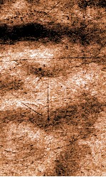 闺媛典  卷271-277 封面