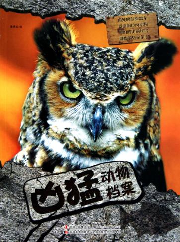 凶猛动物档案 封面