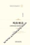 风险刑法  以预防机能为视角的展开 封面