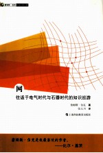 网  往返于电气时代与石器时代的知识巡游 封面