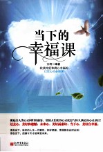 当下的幸福课  收获纯爱和满心幸福的12堂心灵必修课 封面