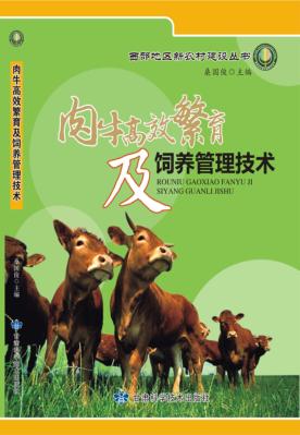 肉牛高效繁育及饲养管理技术 封面