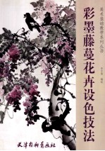 彩墨藤蔓花卉设色技法 封面