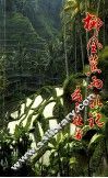 椰风蕉雨扎记 封面