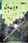 风中的少年 封面