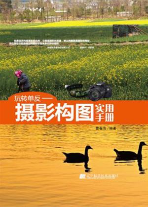 玩转单反  摄影构图实用手册 封面