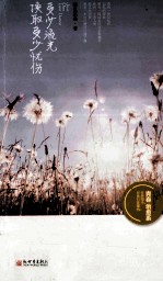 多少流光换取多少忧伤 封面